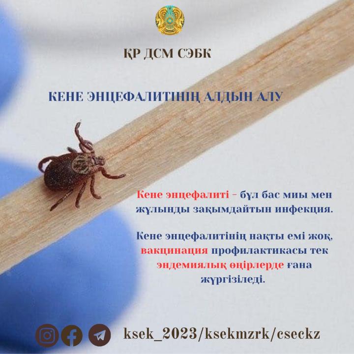 Кене энцефалитінің алдын алу