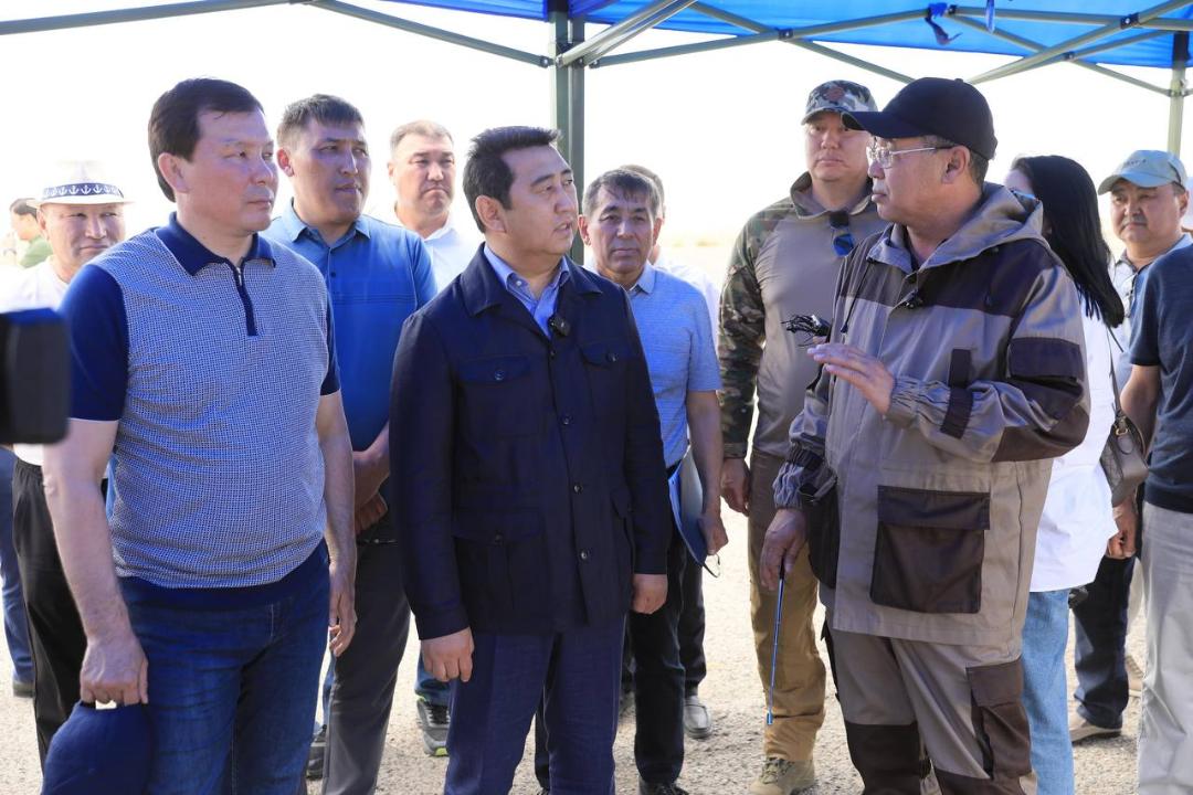 Шегірткеге қарсы күрес: Ақтөбе облысындағы жағдайды 850 маман бақылайды