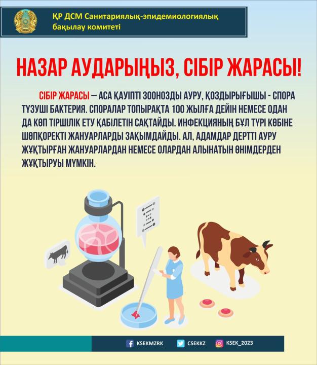 Абайлаңыз, сібір жарасы!