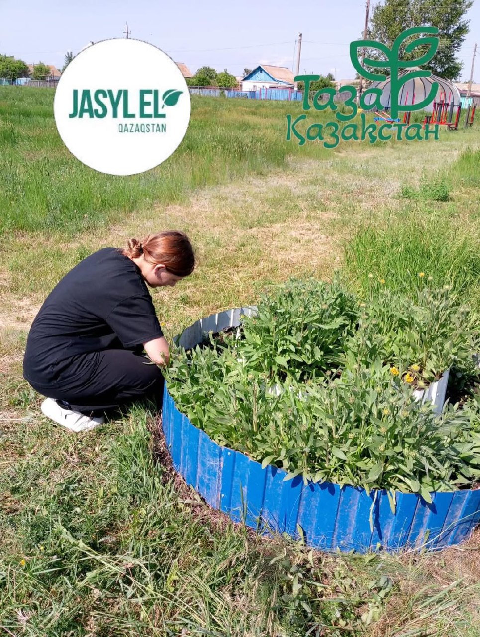«Жасыл ел» - жасыл мекен!
