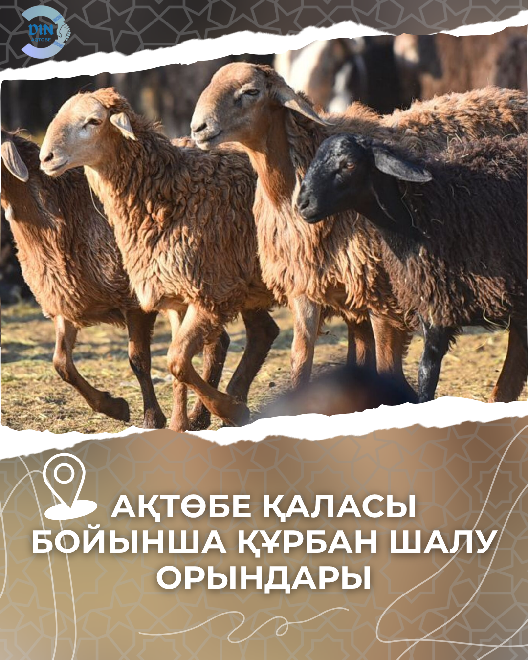 Ақтөбе қаласында құрбан шалуға арналған 4 орын белгіленді