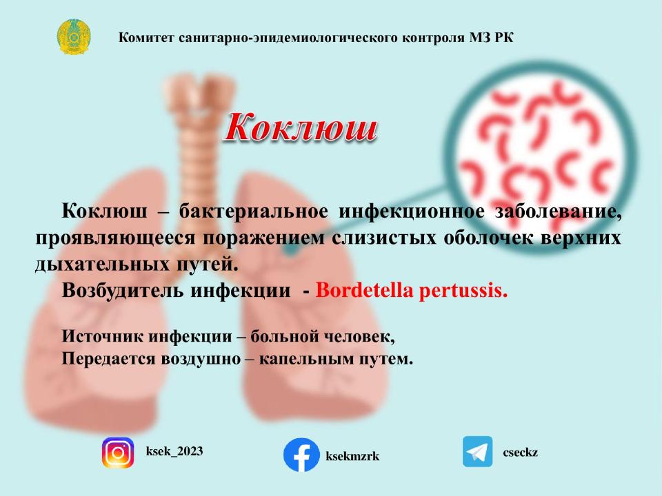 Коклюш