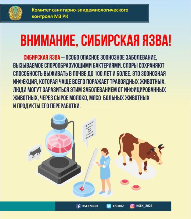 Осторожно, сибирская язва!