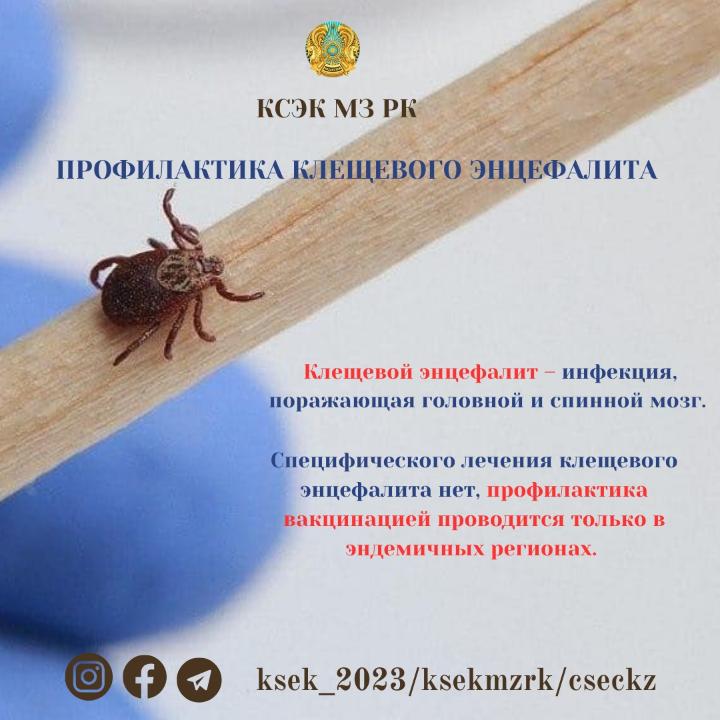 Профилактика клещевого энцефалита