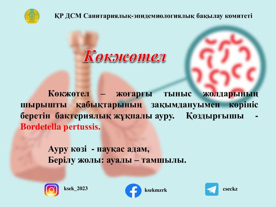 Көкжөтел