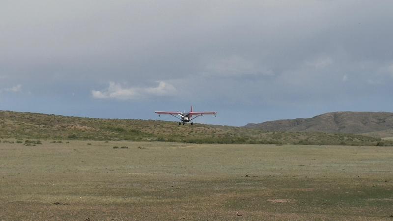 Қарағанды облысында шегірткемен күресте шағын авиация мен дрондар пайдаланылады