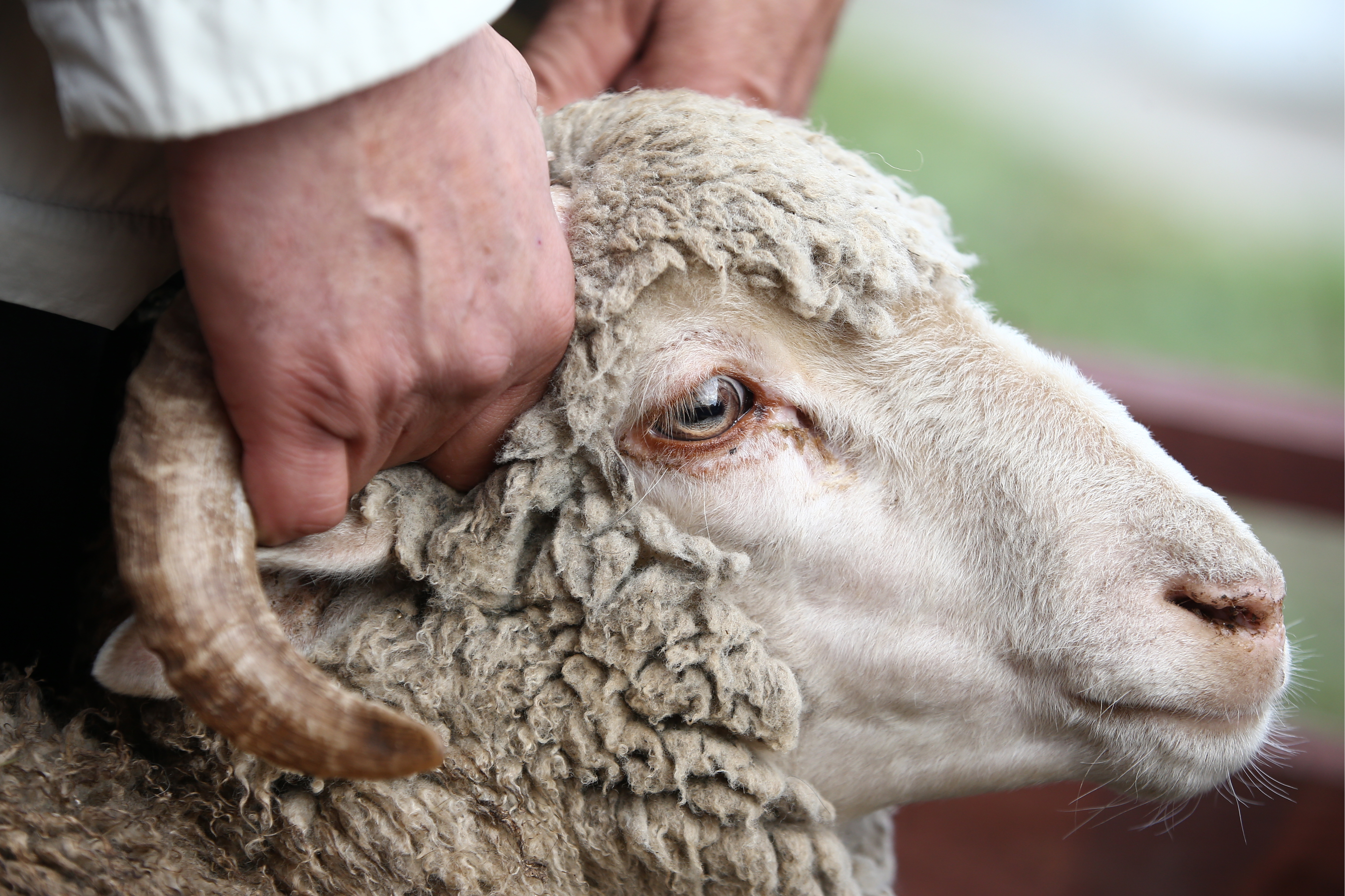 Мамандардың кеңестері