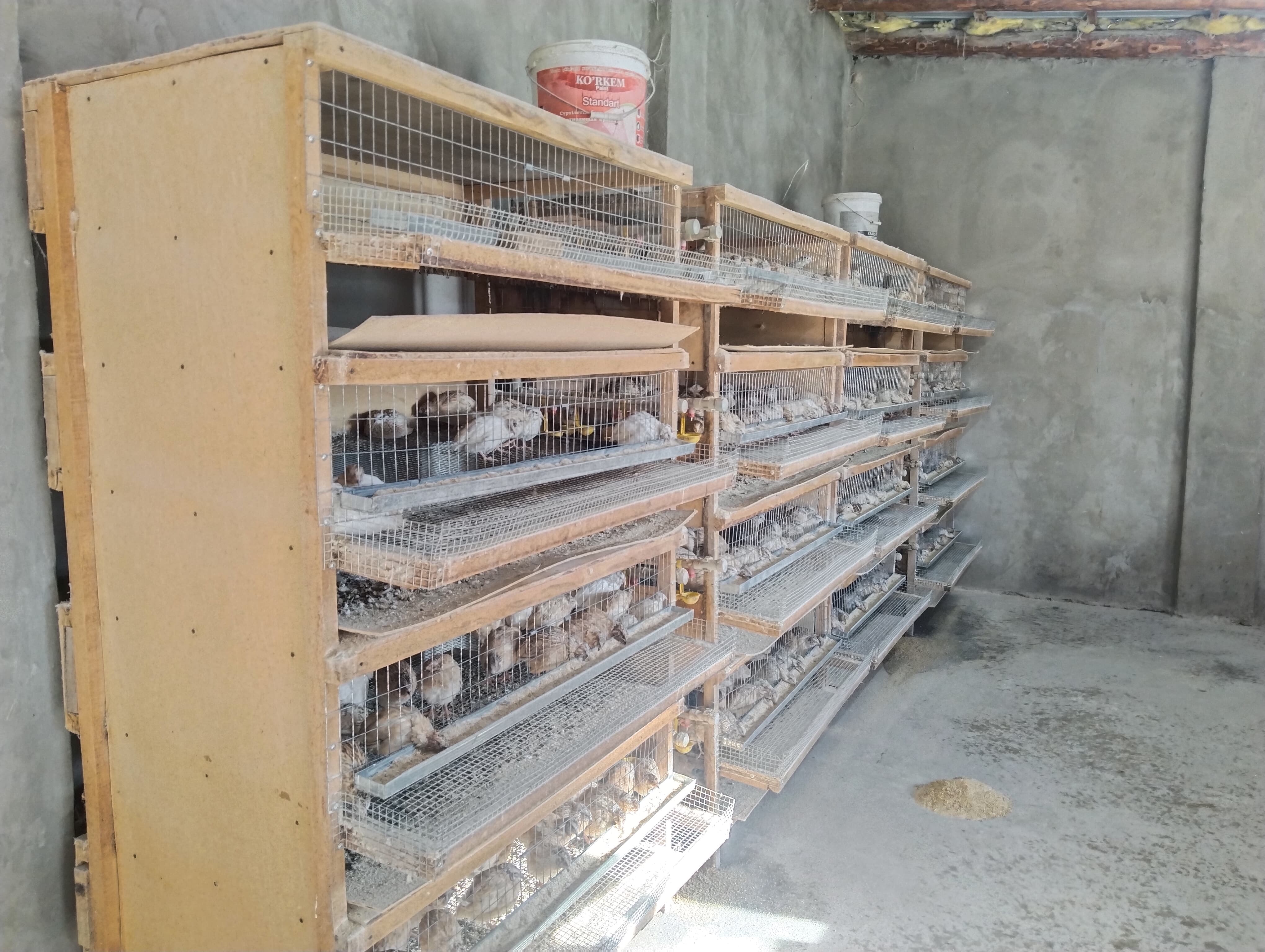 САРЫАҒАШ: ҚАЙТАРЫМСЫЗ ГРАНТТЫҢ ҚАЙЫРЫМЫ МОЛ