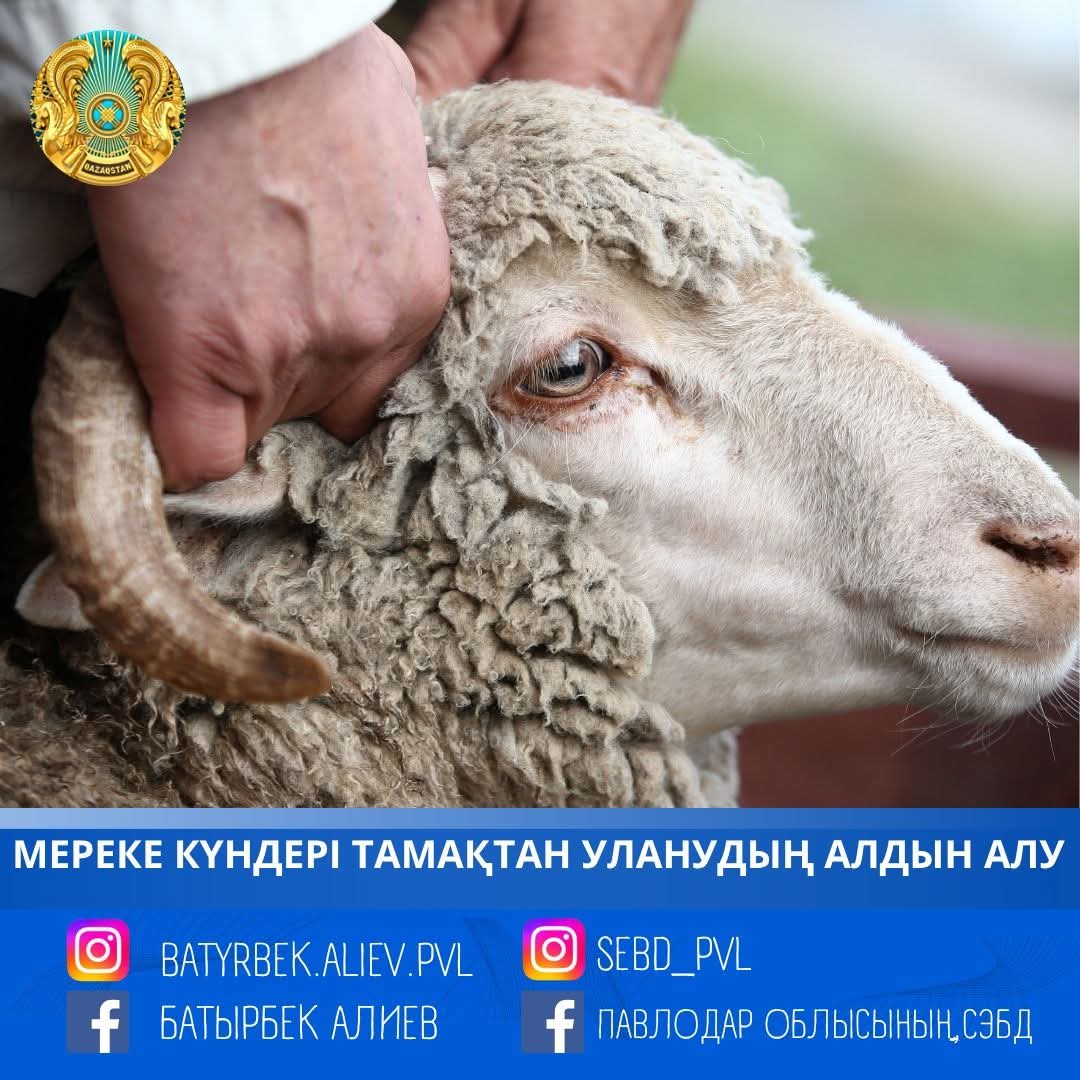 Облыс халқының санитариялық-эпидемиологиялық саламаттылығын қамтамасыз ету және жаппай тамақтан уланудың, жіті ішек инфекцияларының туындауына жол бермеу мақсатында 2025 жылғы 6 мен 8 маусым аралығында «Құрбан айт» мерекесін атап өту барысында, мынадай талаптарды сақтау қажет: