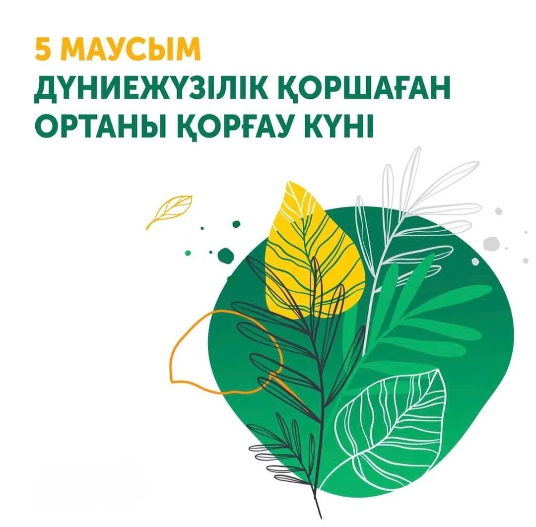 🌏 ЭКОЛОГИЯЛЫҚ МӘДЕНИЕТ: ӘР АДАМНАН БАСТАУ АЛАДЫ