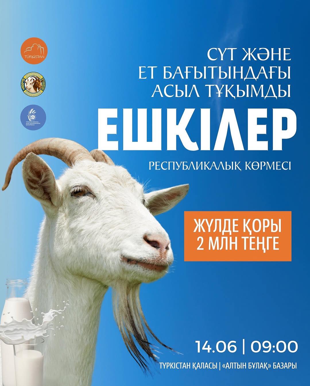 Жалаңаш Айзаның суреттері