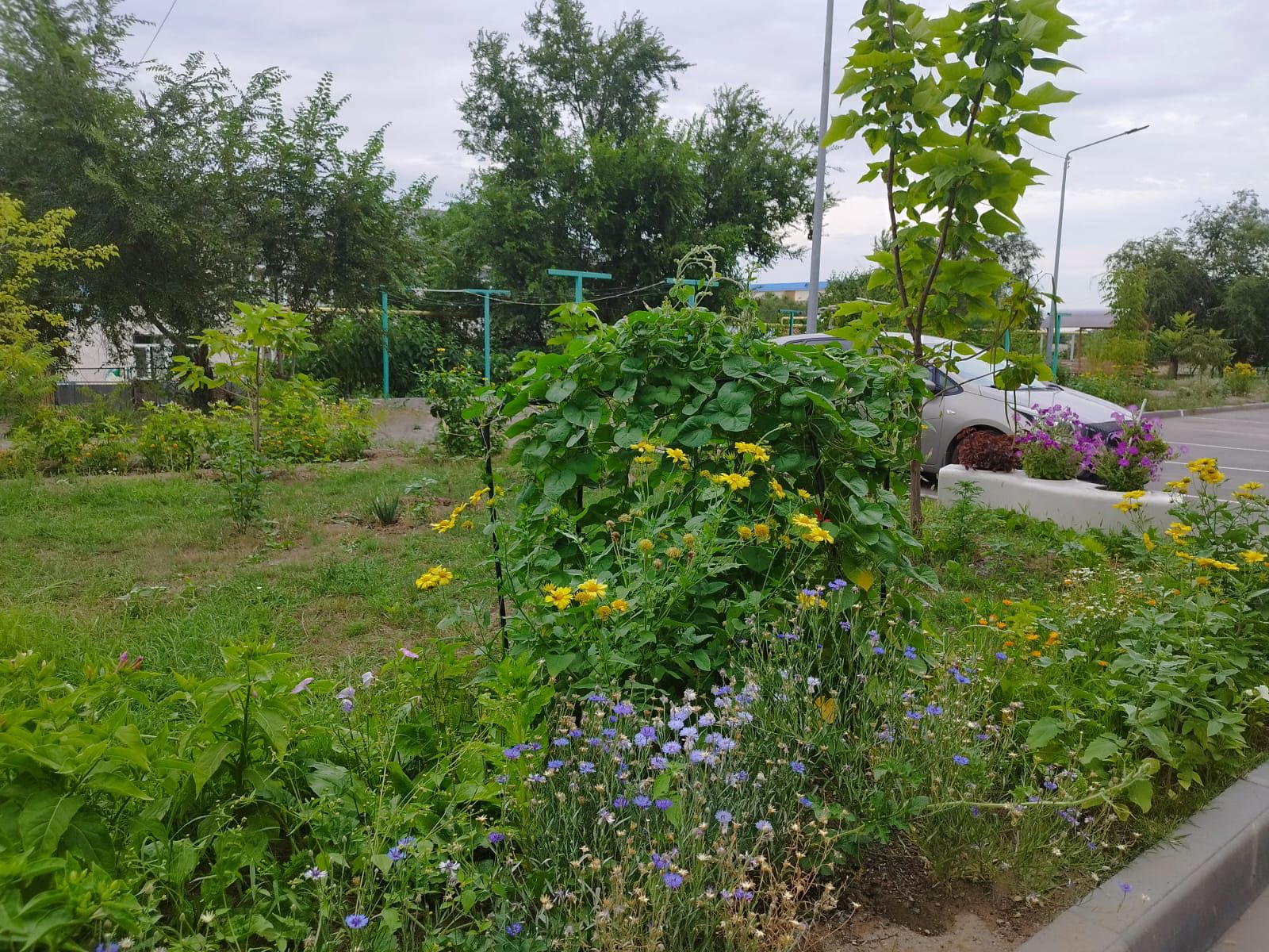 «Таза аула» конкурсының жеңімпаздары анықталды