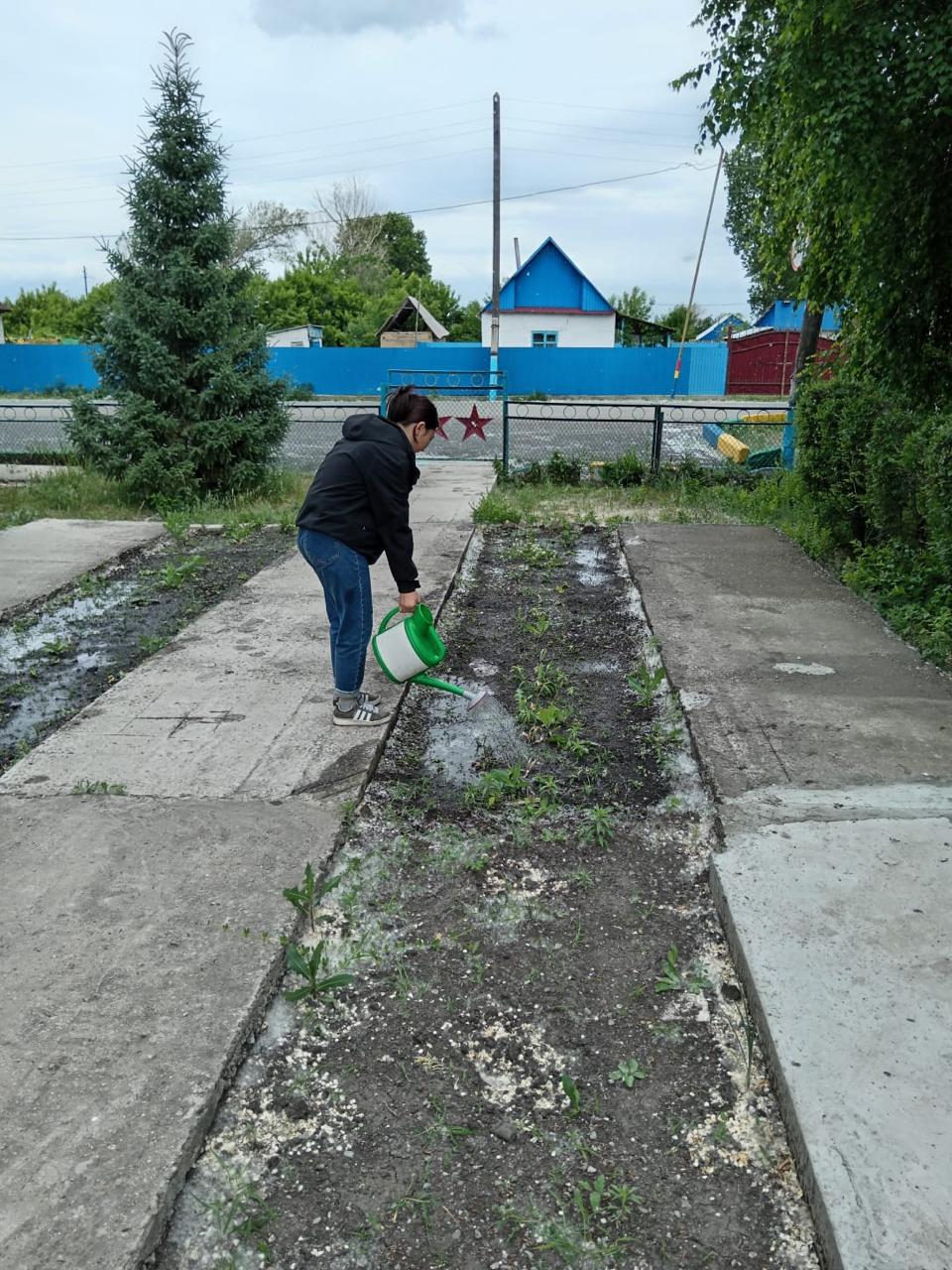 "ЖАСЫЛ ЕЛ" ЖАСАҚТАРЫ.
