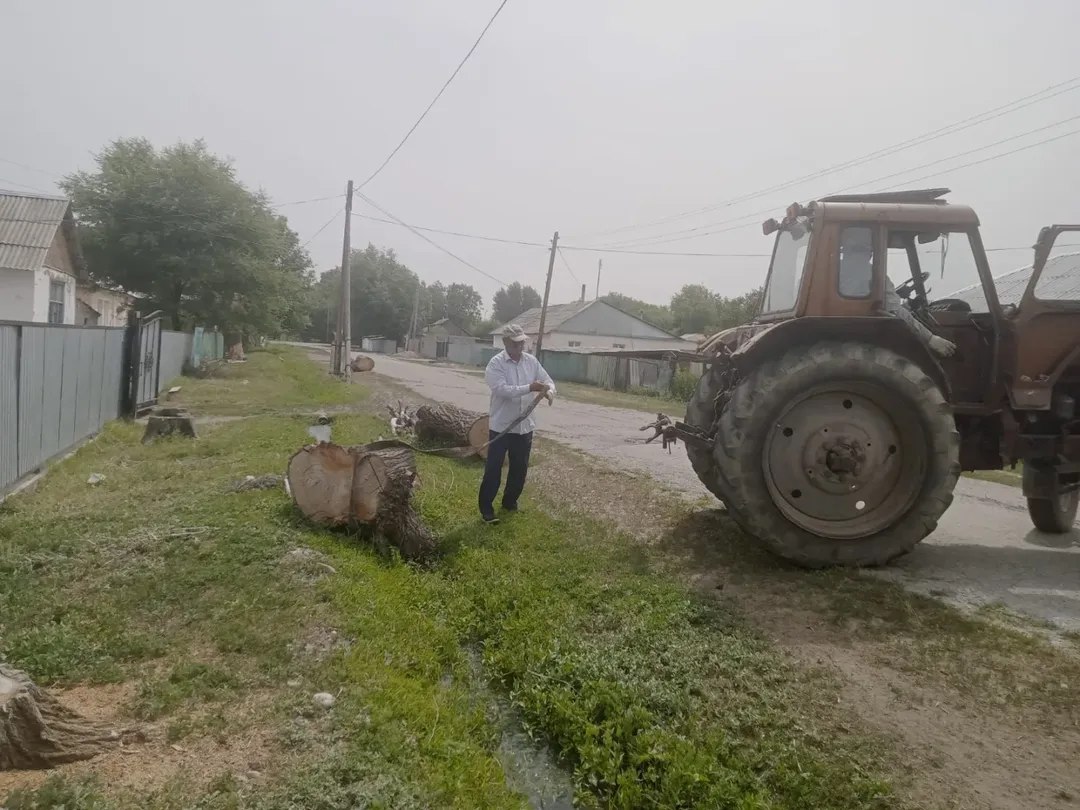 Сенбілік өткізілді