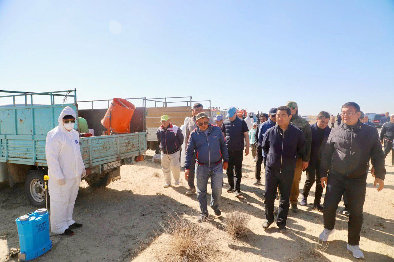 ҚР Ауыл шаруашылығы министрі Арал ауданындағы зиянкестерге қарсы өңдеу жұмыстарымен танысты