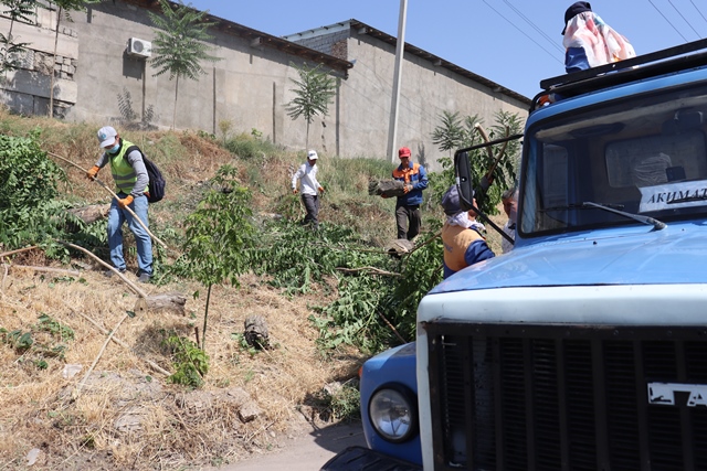 ӘЛ-ФАРАБИ АУДАНЫ АУМАҒЫНДА СЕНБІЛІК ЖҰМЫСТАРЫ ӨТКІЗІЛДІ