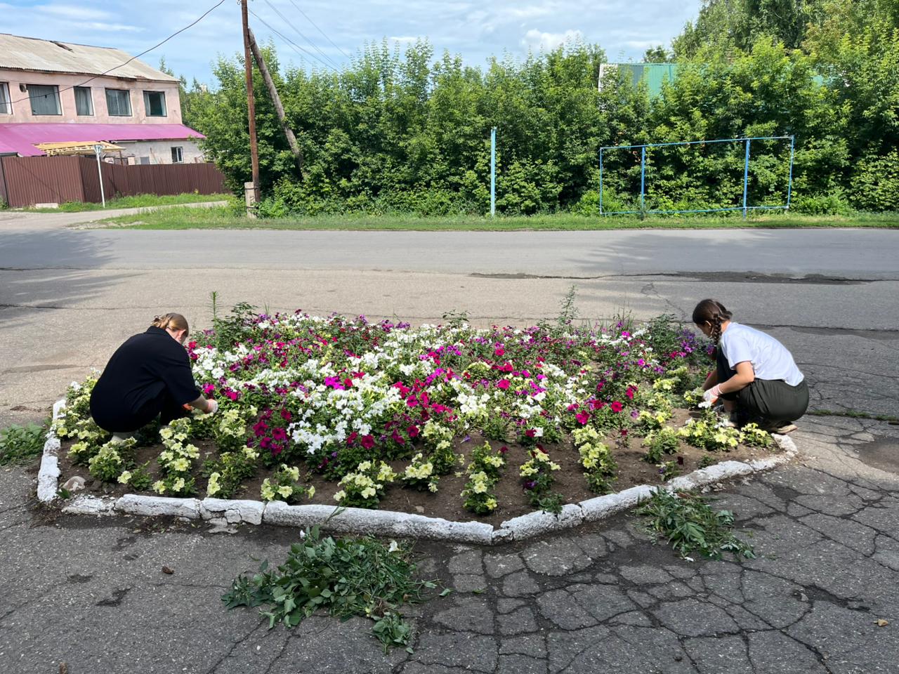 Центральная көшесінде аумақты абаттандыру жұмыстары жүргізілуде