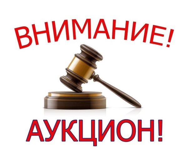 Пайдалы қатты қазбаларды өндіру бойынша учаскелердің электрондық аукционы