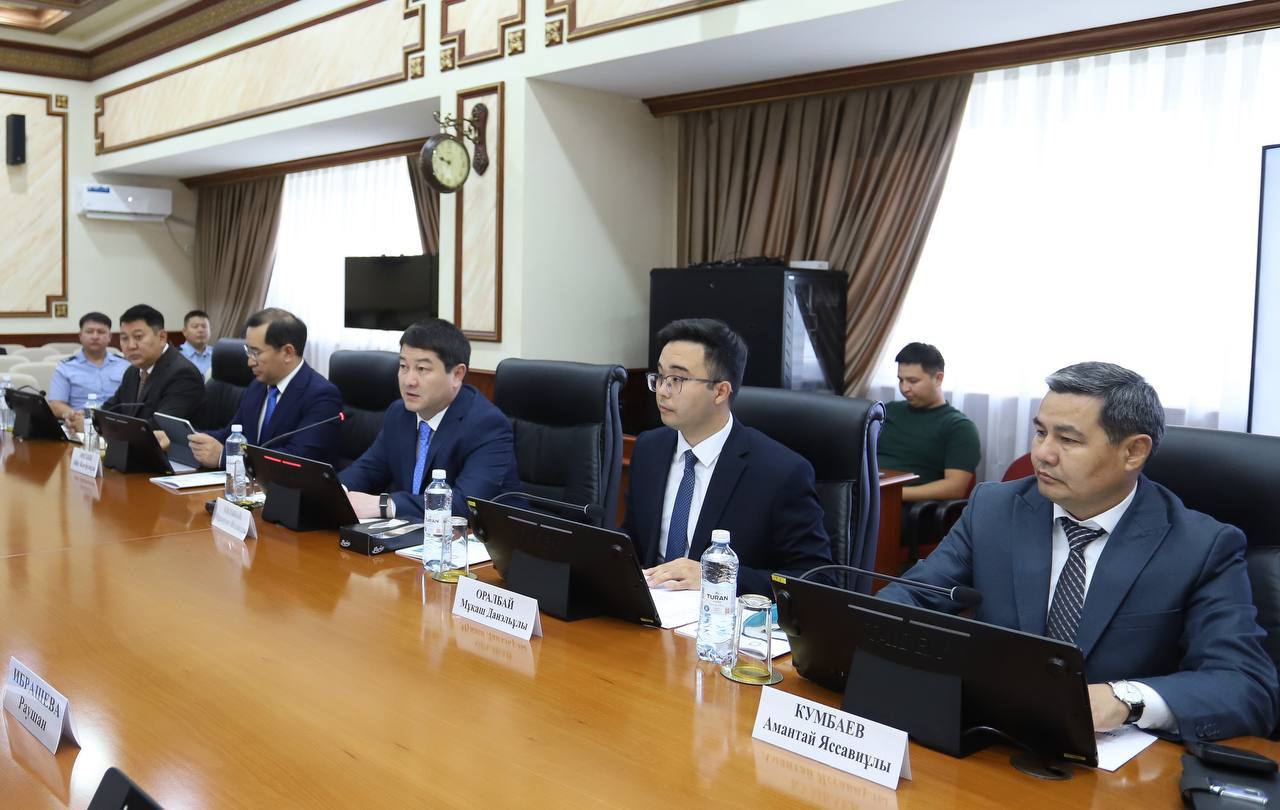 Нұрдәулет Қилыбай БҰҰ Балалар қорының Қазақстандағы өкілін қабылдады