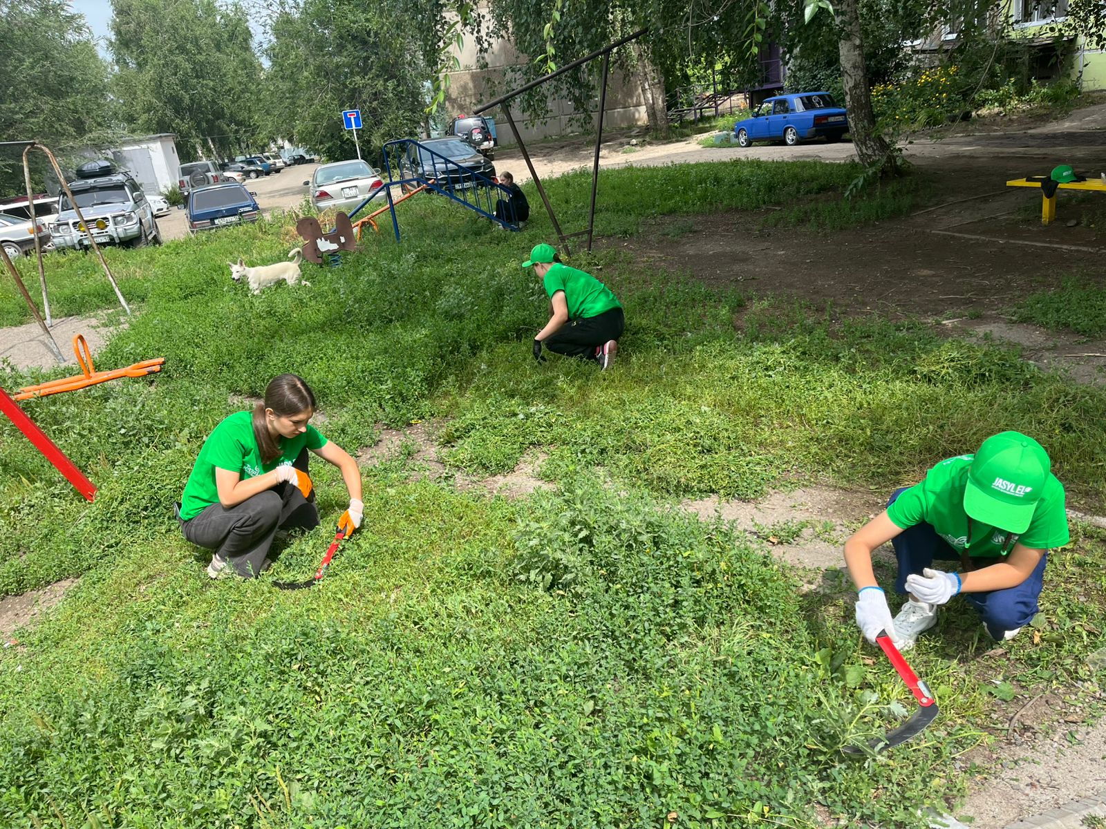 Бүгін «Жасыл ел» жасағы Белоусовка кентінің аумағын абаттандыру жұмыстарын жалғастыруда