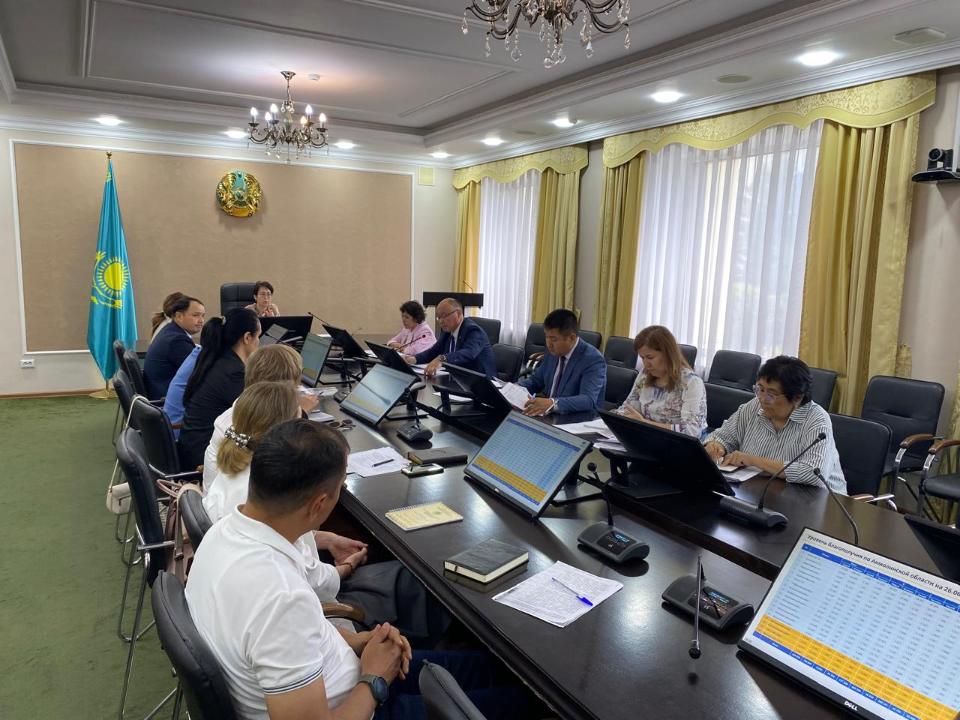 Отбасының цифрлық картасы мәселелері жөніндегі кеңес