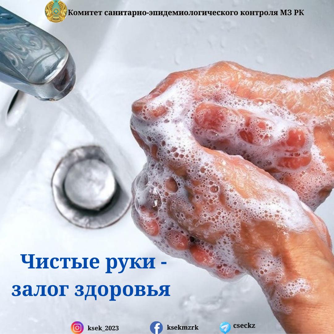 Чистые руки - залог здоровья