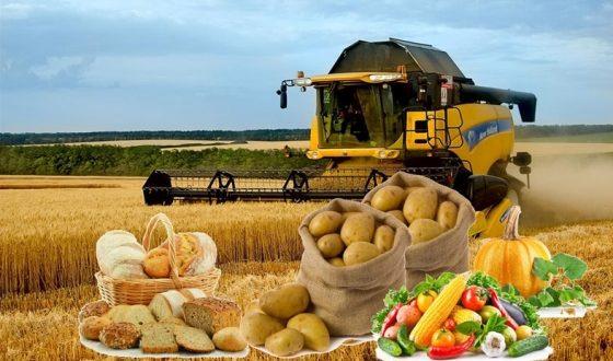 2025 жылдың бес айының қорытындысы бойынша Қазақстанда тамақ өнімдері өндірісі артты