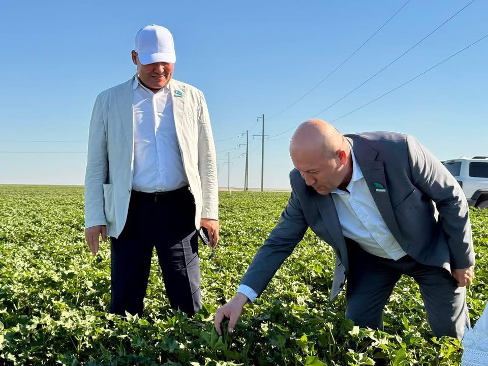 ТҮРКІСТАН ОБЛЫСТЫҚ МӘСЛИХАТЫНЫҢ ДЕПУТАТТАРЫ МЕН КӘСІПКЕРЛЕР ЖАҢА ТЕХНОЛОГИЯНЫҢ ТИІМДІЛІГІМЕН ТАНЫСТЫ