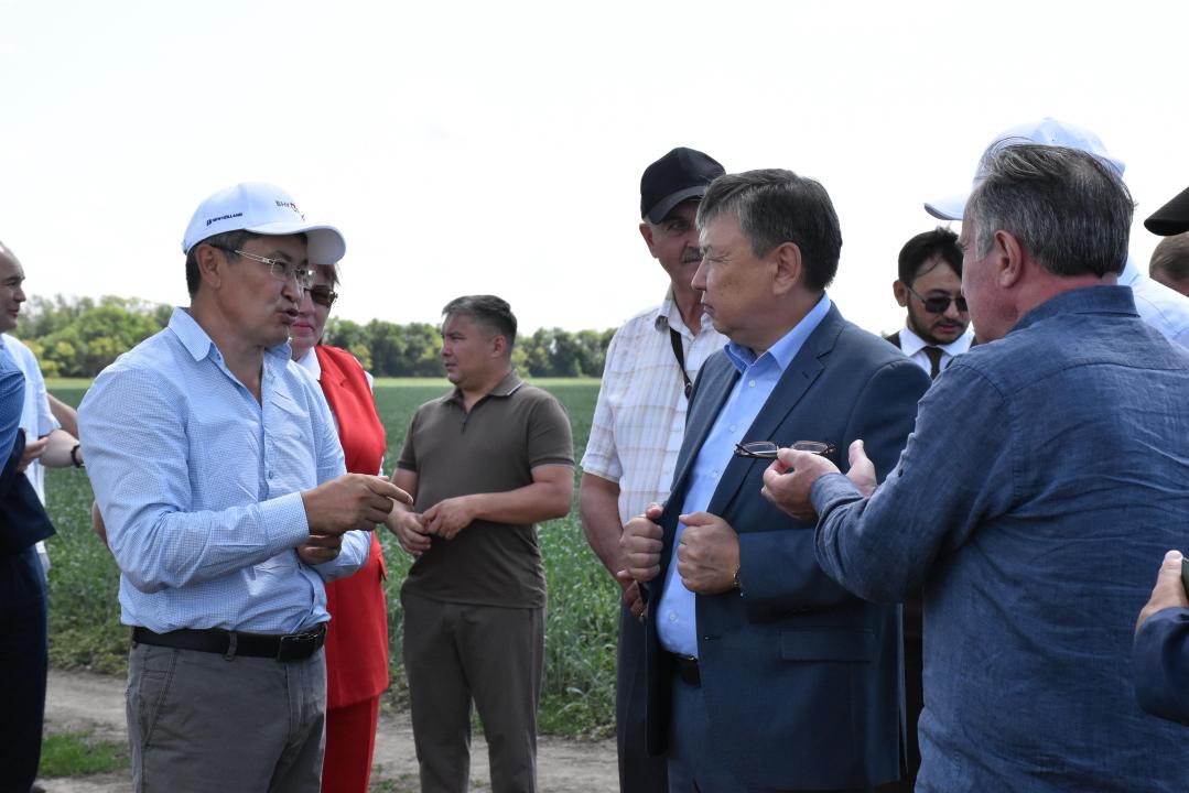 Өсімдіктерді қорғау мәселелері жөніндегі үйлестіру кеңесінің отырысы Шортанды ауданында өтті