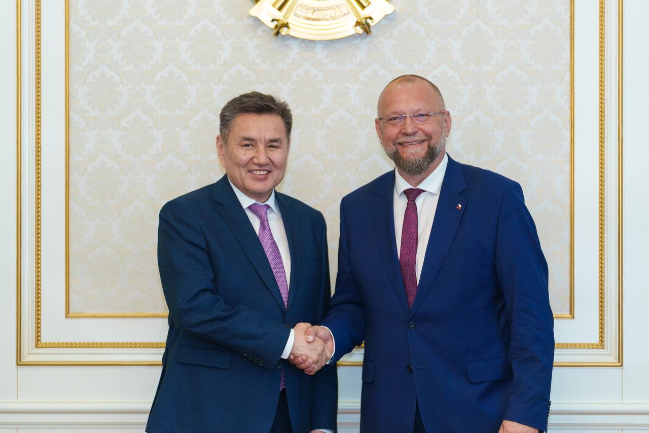 ШҚО әкімі Чехия Парламенті Депутаттар палатасының Вице-спикерімен кездесті
