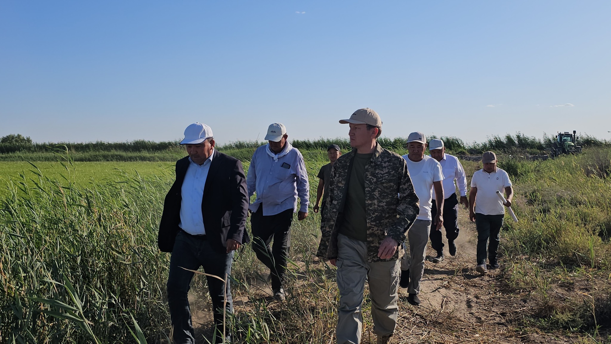 Егістік алқаптарын аралады