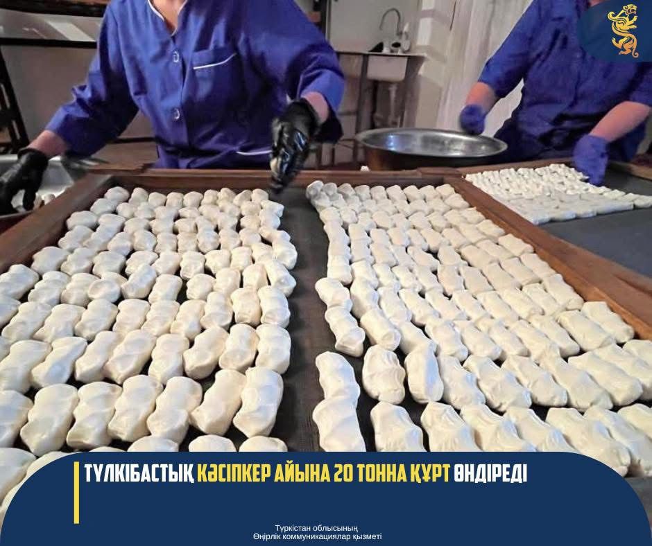 ТҮЛКІБАСТЫҚ КӘСІПКЕР АЙЫНА 20 ТОННА ҚҰРТ ӨНДІРЕДІ