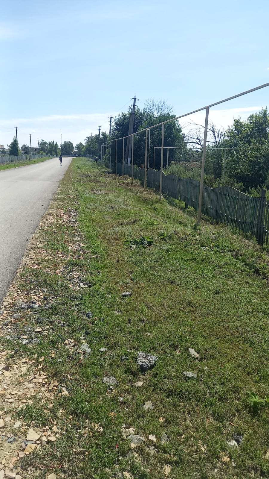 Алшан ауылында арамшөптерді шабу