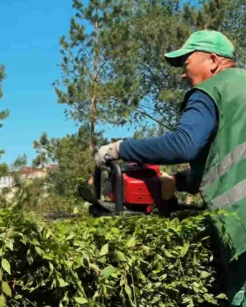 В районе Сарыарка продолжаются работы по уходу за зелеными насаждениями