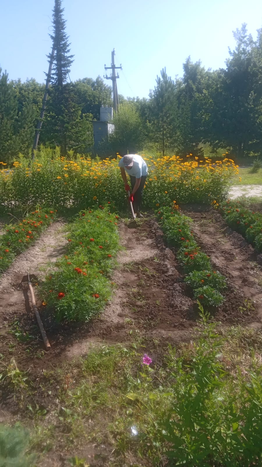 Предгорное ауылы. Қоғамдық аумақтарды абаттандыру жұмыстары жүргізілуде.