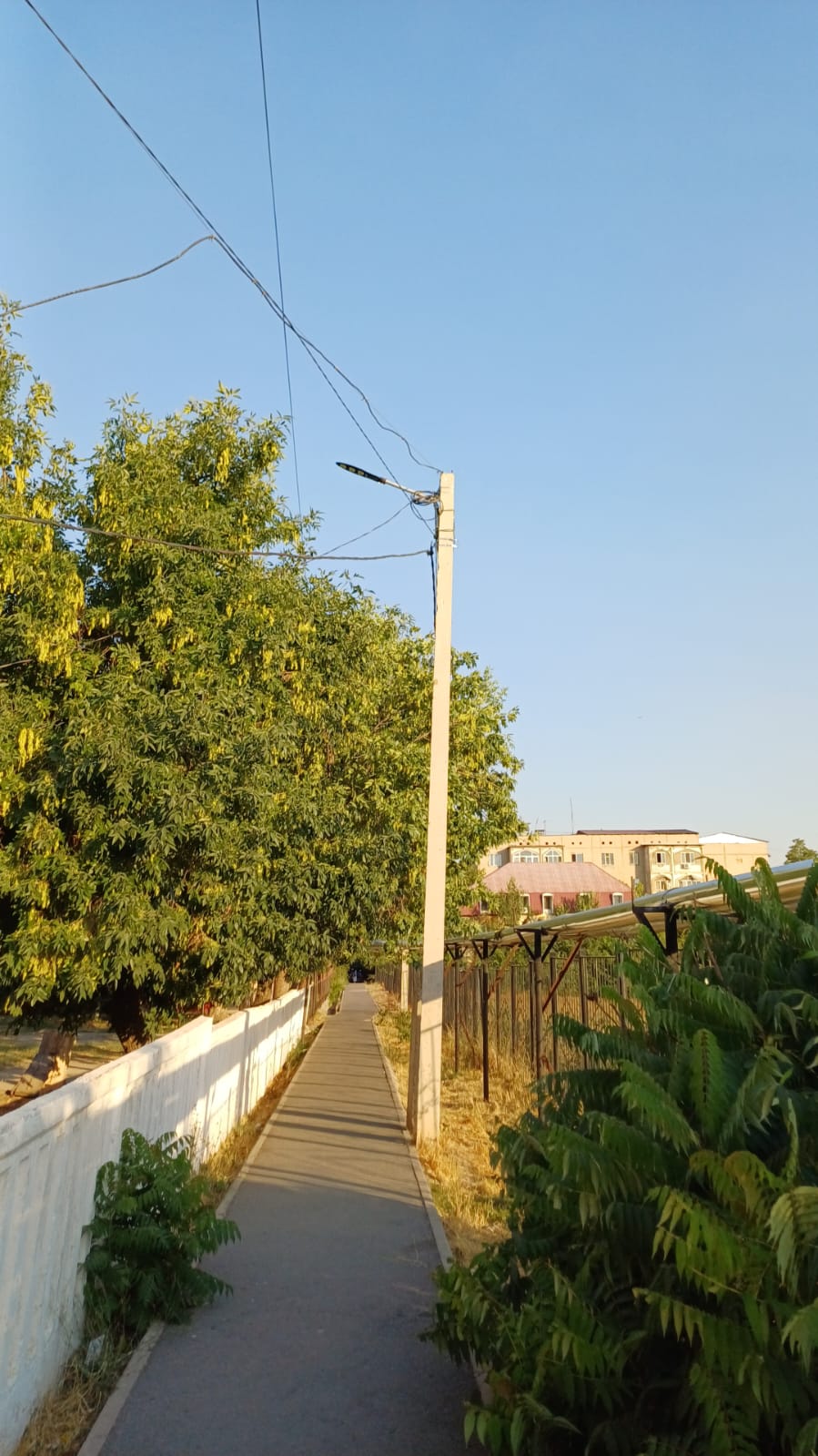 КӨШПЕЛІ КЕЗДЕСУ: ЕКІ МЕКТЕП АРАЛЫҒЫ ЖАРЫҚТАНДЫРЫЛДЫ