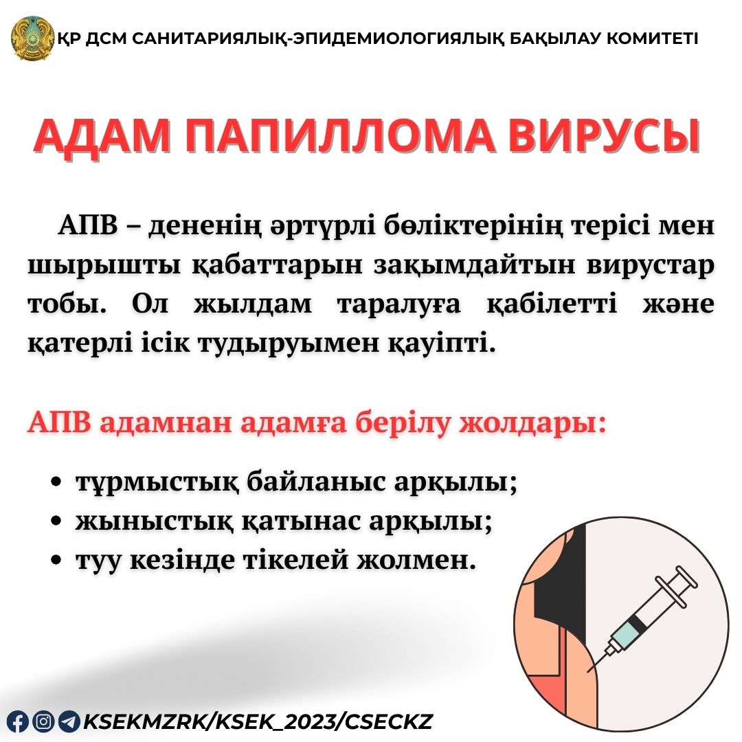 Рен ТВ-дағы эротикалық фильмдер