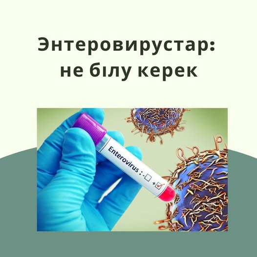 Энтеровирустар – бұл вирустар тобы, олар әсіресе жылы мезгілде белсенді болады.
