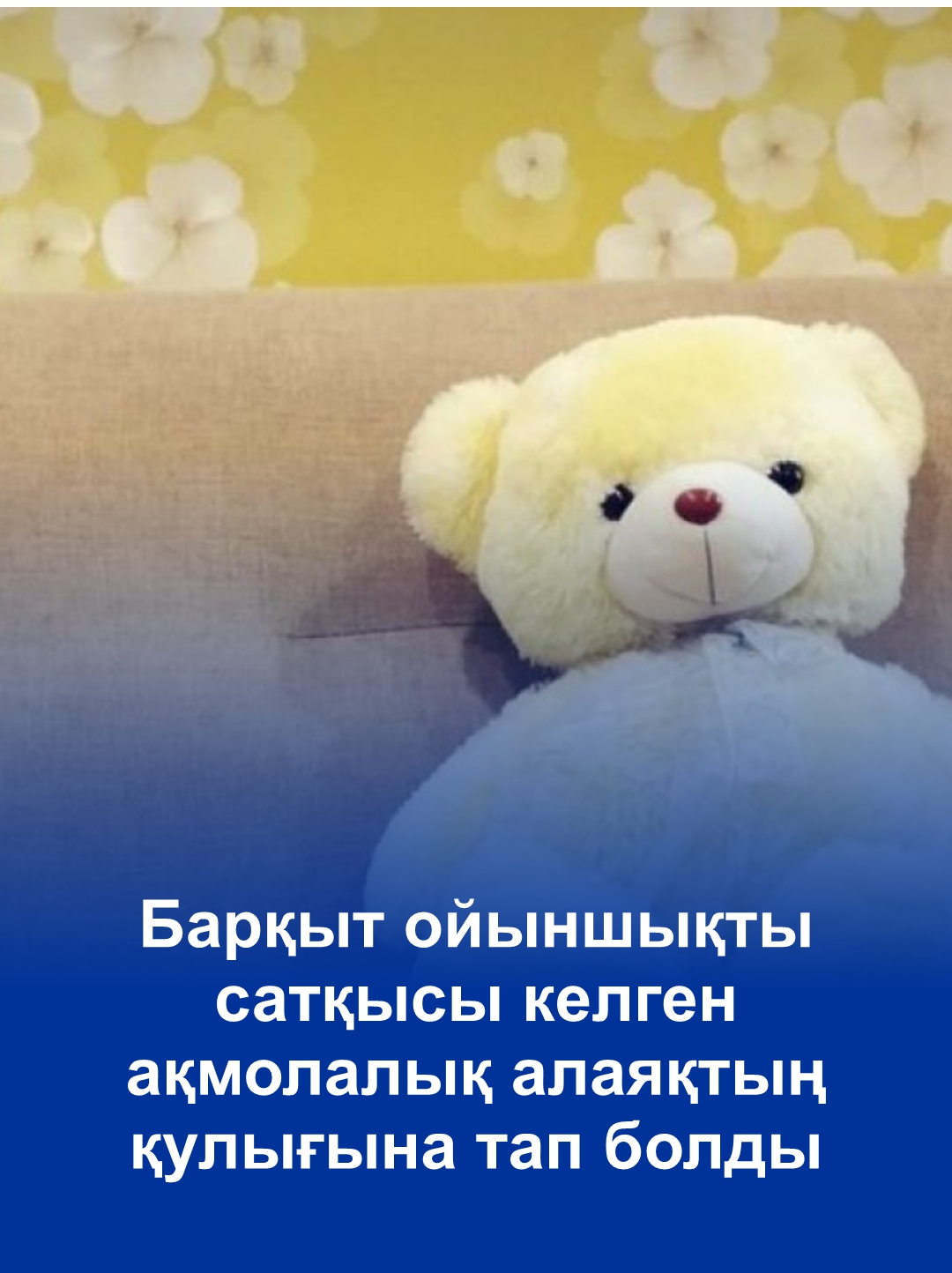 Барқыт ойыншықты сатқысы келген ақмолалық алаяқтың қулығына тап болды