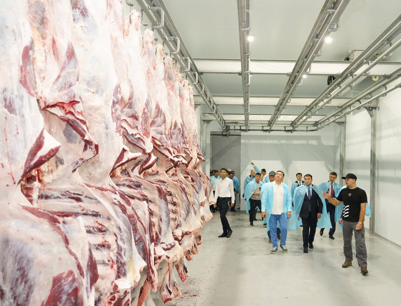 Казахстан продолжает работу по открытию новых рынков для экспорта животноводческой продукции