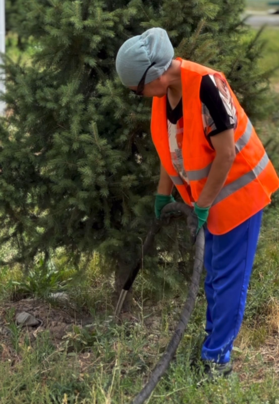 Жоспарға сәйкес күн сайын гүлдер мен ағаштарды суару жұмыстары жүргізілуде.