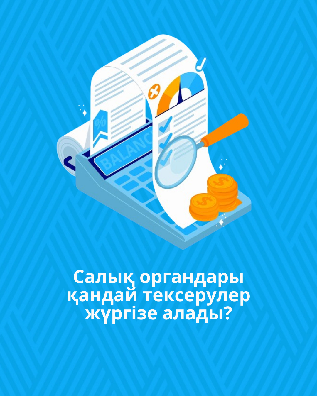 Салық органдары қандай тексерулер жүргізе алады?