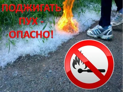 Уважаемые жители и гости Айыртауского района!