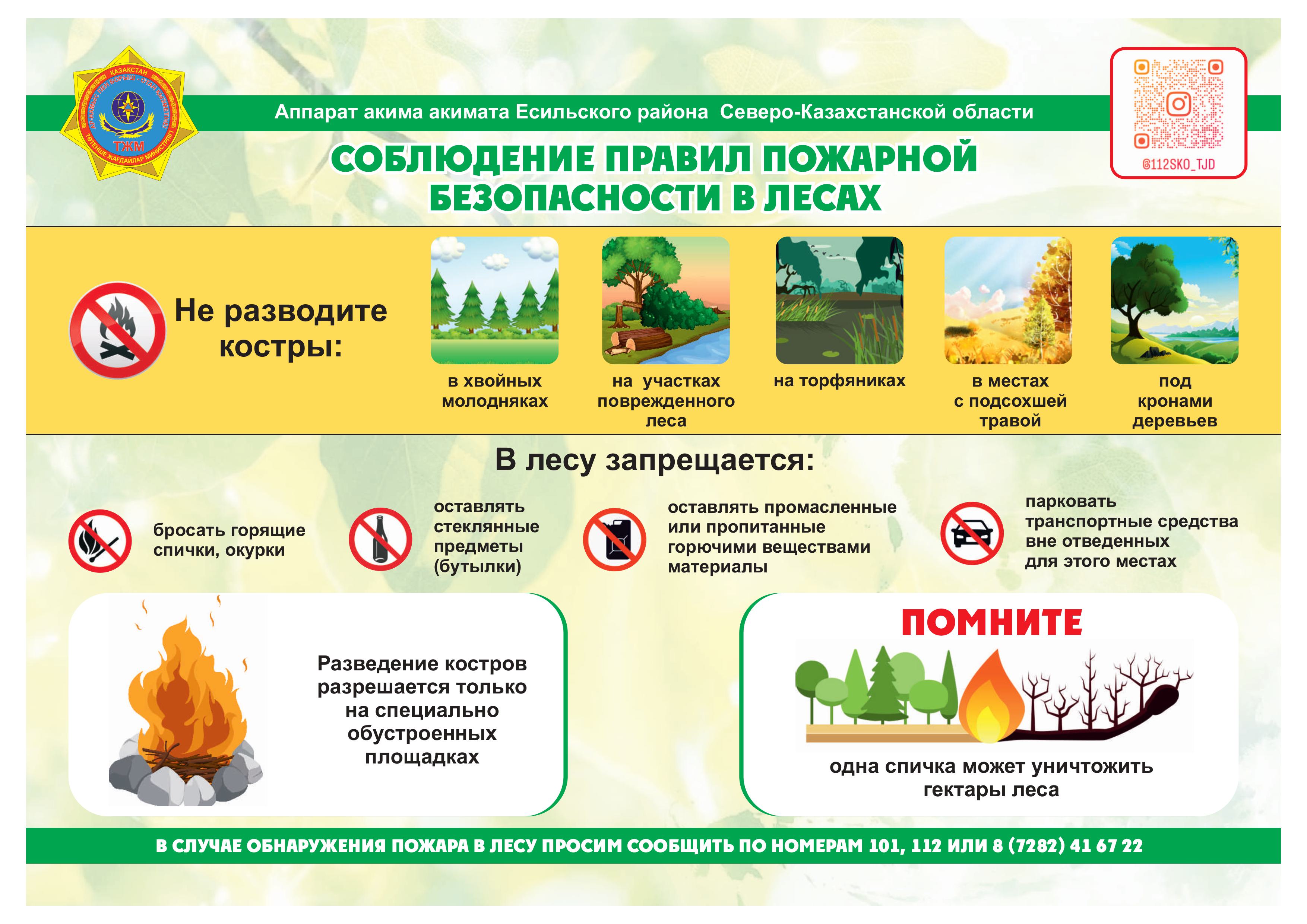 Соблюдение правил пожарной безопасности в лесах