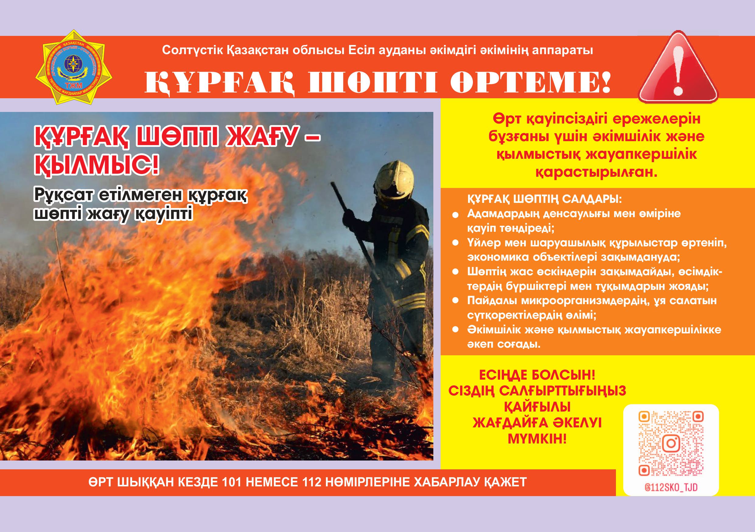 Құрғақ шопті өртеме