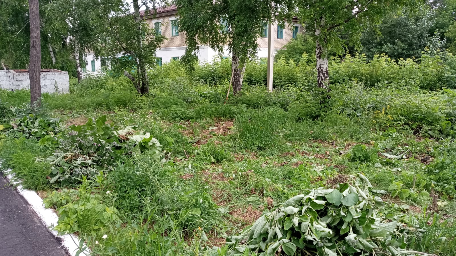 «Таза Қазақстан» экологиялық бағдарламасы аясында Костряков ауылында абаттандыру жұмыстары жалғасуда.
