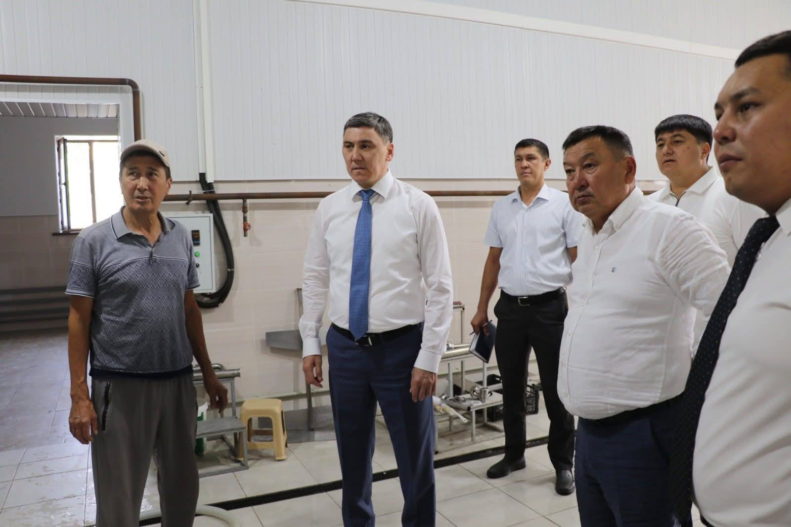 ТҮРКІСТАН: ТҮЛКІБАСТА СҮТТІ ТЕРЕҢ ӨҢДЕУ САЛАСЫ ДАМЫП КЕЛЕДІ