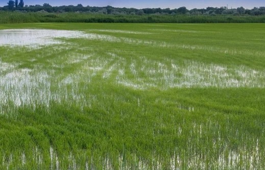 Алакөл ауданында су желілерінің 61,4 % жөнделеді