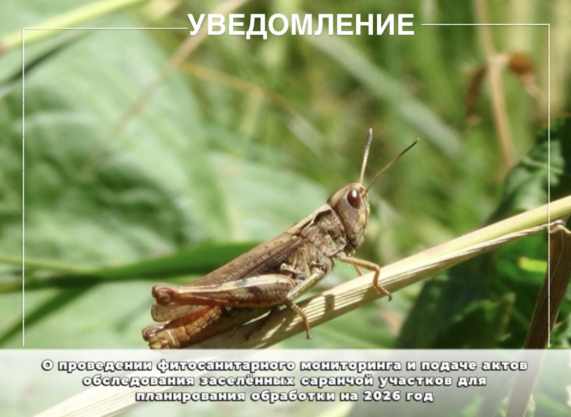 Ауыл шаруашылық  құрылымдары  назарына!