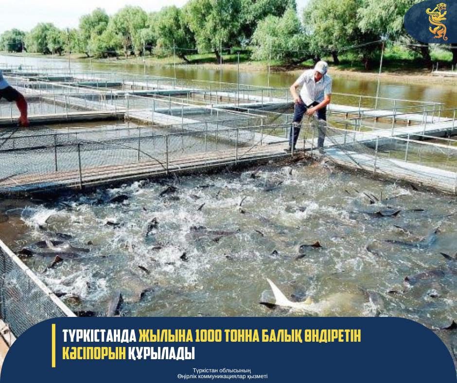 ТҮРКІСТАНДА ЖЫЛЫНА 1000 ТОННА БАЛЫҚ ӨНДІРЕТІН КӘСІПОРЫН ҚҰРЫЛАДЫ
